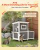 Outdoor Cat House, 2-Story Wooden Cat Shelter for 3 Outside Cats in Winter, Elevated Feral Kitty Shelter with Stairs, Clear Window & Flap Doors, Wate